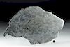 Huge Campo del Cielo Iron Meteorite Slab - 4.8 pounds!
