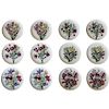 Set of 12 Fornasetti Milano 'Fiori' Pattern Porcelain Plates