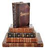 14  Leather-bound Shakespeare Books