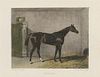 Four Handcolored Horse Engravings, 19th Century, 9 x 10 inches.