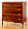 Sheraton tiger maple and cherry chest of drawers