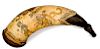 Engraved William Henry Harrison 1840 Campaign Powder Horn by Tansel 