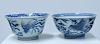 Two Asian 19th C. blue and white bowls