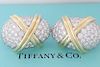 TIFFANY & CO. Jean Schlumberger Plat 18K 6ct Earrings