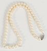 Pearl necklace with 10 karat gold clasp.  lg. 14 1/2 in.