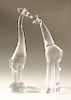 Pair of large Steuben glass giraffes, crystal animal sculptures, both signed on bottom: Steuben.  ht. 13 in. & ht. 14 in.  Condi...