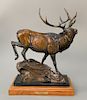 Kent Ullberg (b. 1945),  bronze of elk,  "Mountain Calls",  signed and numbered on back 19/50.  ht. 13 1/2 in., lg. 10 1/2 in.