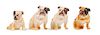 * A Group of Four Royal Doulton Bulldogs Height of tallest 2 1/4 inches.