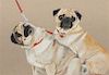 * A Watercolor depicting Two Pugs 5 1/4 x 7 1/2 inches.