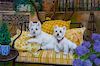 * A Giclee Print depicting West Highland Terriers Image: 12 x 18 inches.