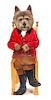 * A Wooden Chair depicting a Dog in Foxhunting Garb Height 45 inches.