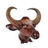 A Carved Wood Water Buffalo Mount Height 31 1/2 x width 29 3/4 x depth 17 1/2 inches.