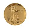 * 2009 $20 Double Eagle Ultra High Relief Gold Coin.