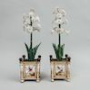  Pair of Paris Porcelain Cachepots, Later Fitted with Floral Plants