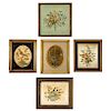 Set of Five 19th C. Bird & Floral Silkworks