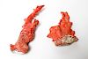 Large Natural Coral Branches in Vivid Red Color, 2