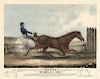 Celebrated Trotting Horse Trustee - Currier & Ives Lithograph
