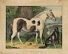 My Pony & Dog - Small Folio Currier & Ives lithograph