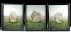 Framed Jonathan Pilkington Stone Photographs (3)
