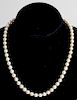 Gold-Plated Silver Clasp Pearls Necklace