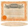 1922 WASHINGTON A. ROEBLING (Brooklyn Bridge Builder) Signed Stock  Certificate