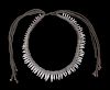 Early Canidae Teeth Necklace