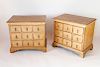 Pair of 19th Century English Oak Apothecary End Tables Chests