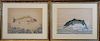 (2) "Moore", Signed Mixed Media Paintings of Fish
