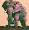 Andy Warhol (1928-1987) - African Elephant