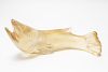 F. Poli or Barovier for Seguso Murano Glass Fish
