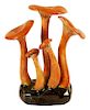 Lorenzen 'Clitocybe Illudens' Mushroom 5" High