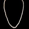 Graduated Pearl Necklace with Edwardian Clasp