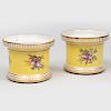 Pair of  Small English Porcelain Yellow Ground Jars