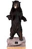 Canadian Full Body Trophy Black Bear Mount