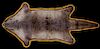 Excellent Montana Taken Otter Double Felted Rug