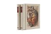 Hartt, Frederick. The Sistine Chapel. New York: Alfred a Knopf, 1991. fo. doble marquilla, 371; 375 p. Tomos I - II.  Piezas: 2.