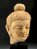 Lifesize 2nd C. Gandharan Stucco Head of Buddha