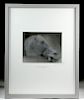 Framed Peter Brandes "Horse of Selene" Photograph