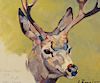 Carl Rungius (1869–1959): Mule Deer (1946)