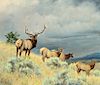 Nancy Glazier (b. 1947): Elk Family (1985)