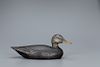 Exceptional Black Duck Decoy, A. Elmer Crowell (1862-1952)