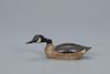 Miniature Hissing Canada Goose, George H. Boyd (1873-1941)