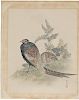 Japanese Watercolor of Two Pheasants