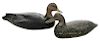 Two Black Duck Decoys, Including Doug Jester