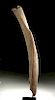Late Pleistocene Alaskan Mammoth Rib Fragment