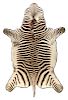 A Taxidermy Zebra Rug
