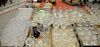 Large group of crystal to include forty four champagne stems, twenty eight white wine, brandy snifters, crystal decanter, etched gla...