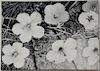 Stephen Bitterolf (20th Century), acrylic on linen, Flowers Black and White, 30" x 42"