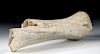 Fossilized Ice Age Mammoth Long Bone