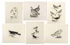 6 Important 1st Ed. Bird Engravings, P. John Selby